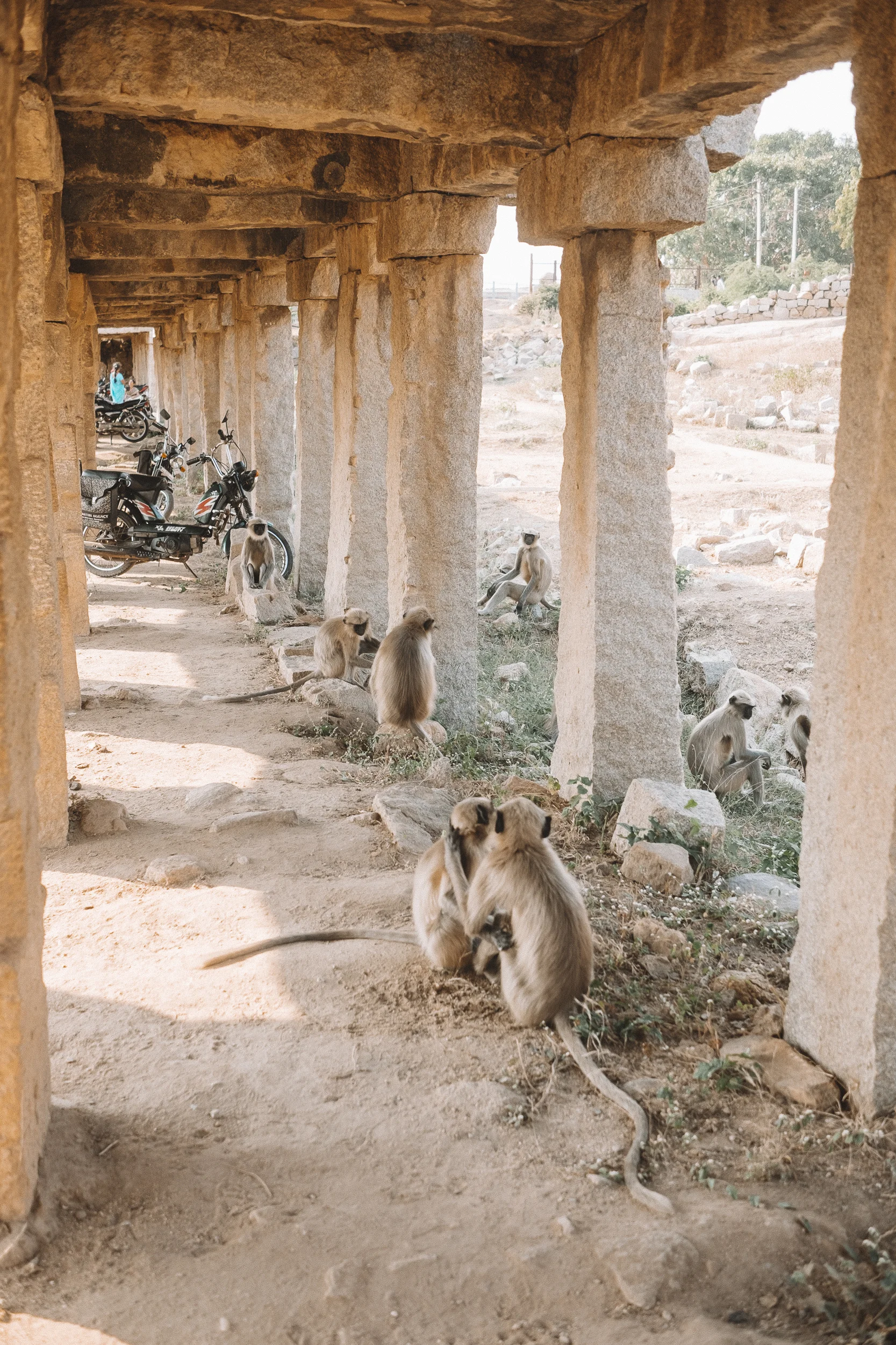 SouthIndia-45.jpg