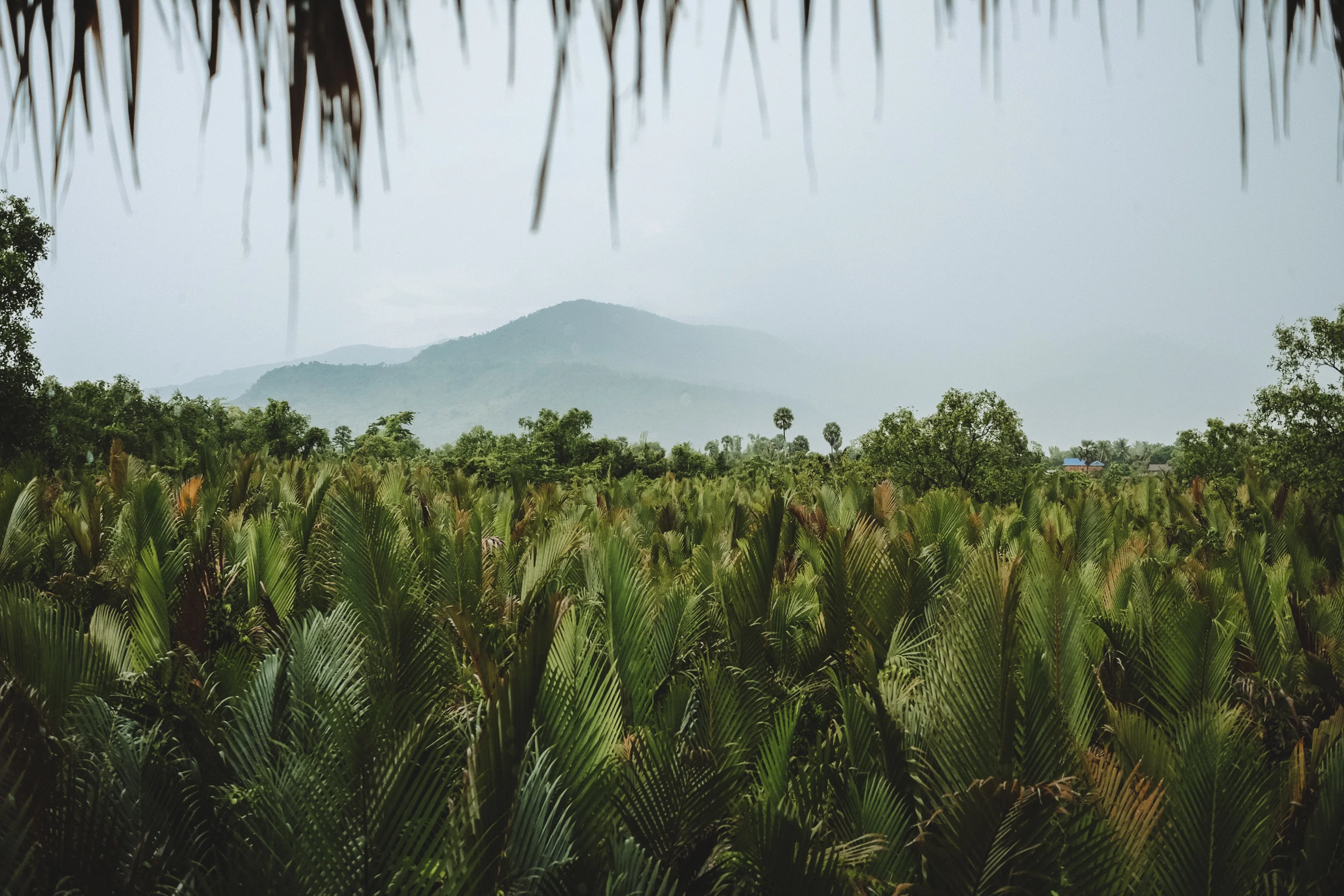 Cambodia-6.jpg