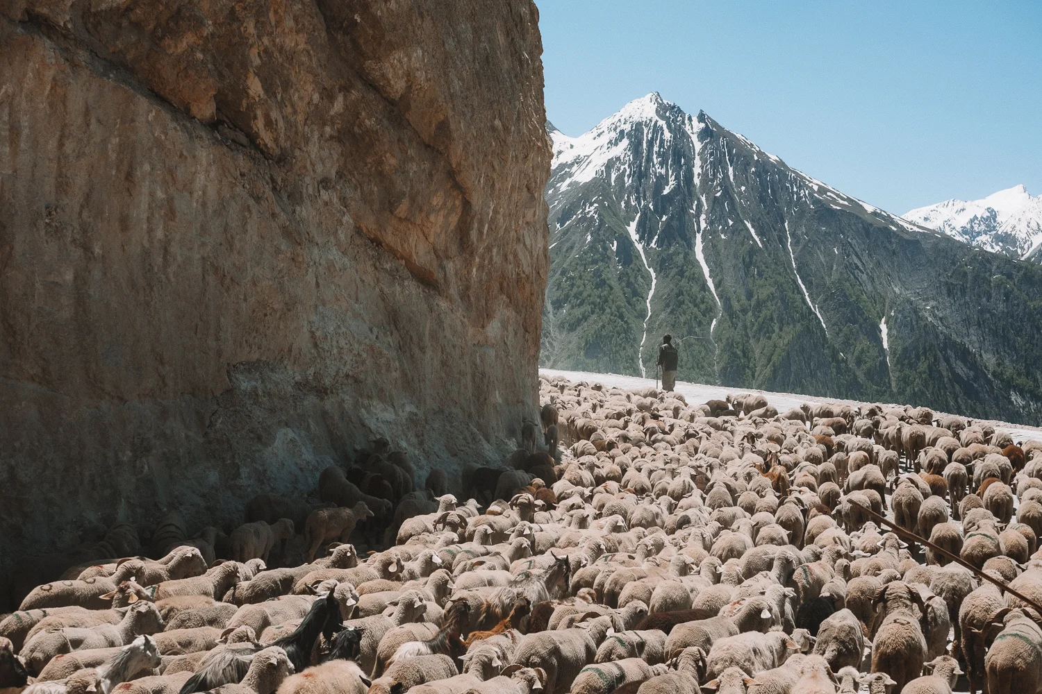 Ladakh_web-39.jpg