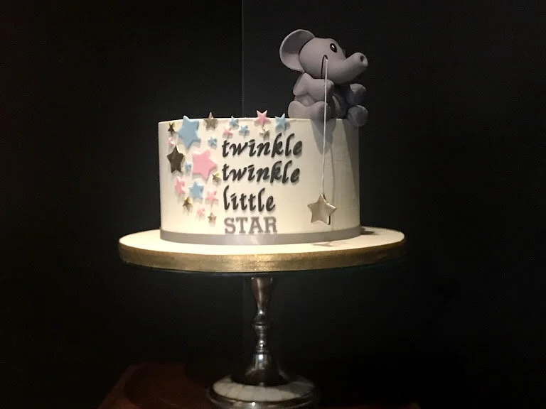 elephant twinkle.JPG