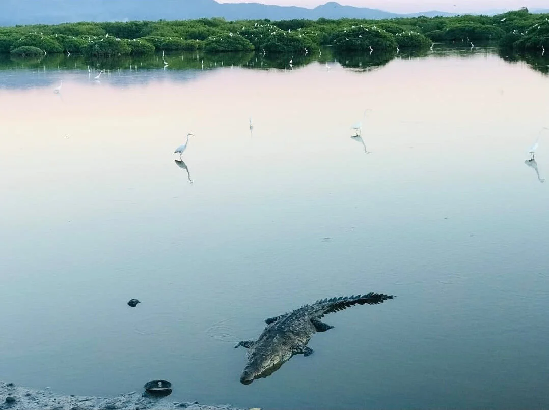 everglades_tatiana.jpg