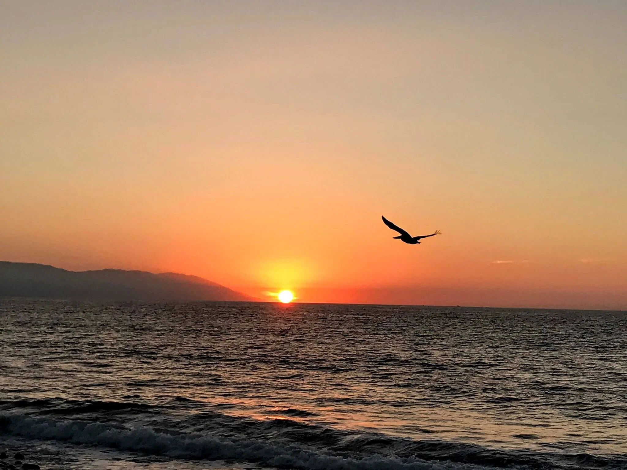 Puerto_Vallarta_tatiana.jpg