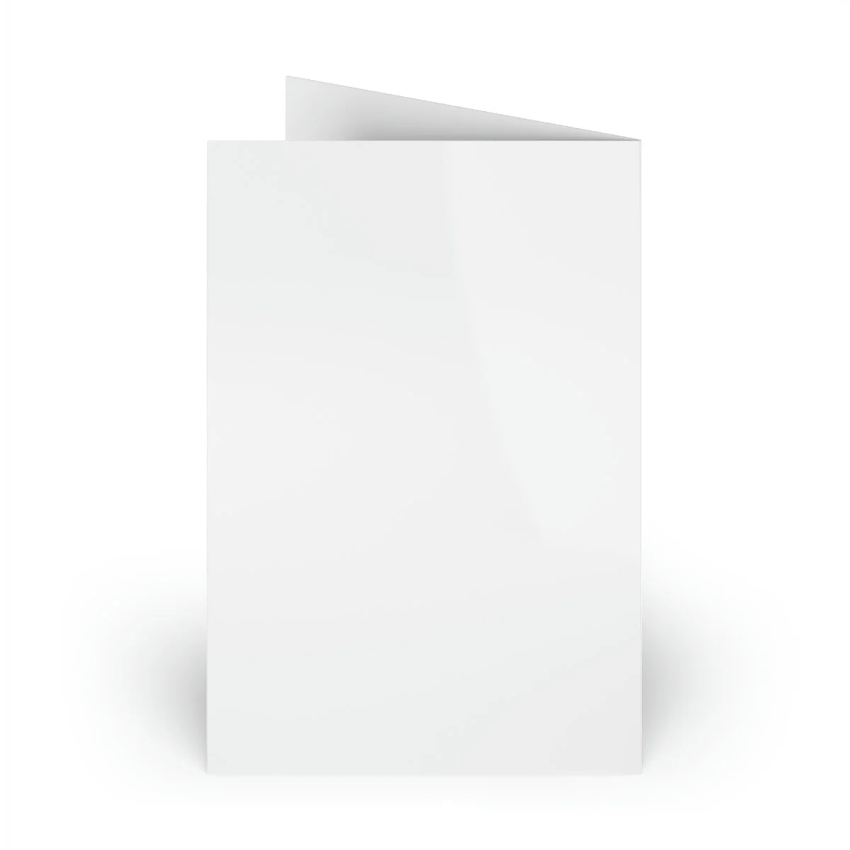 5010aa6739ed35c702bb3b0d6bd61c1a