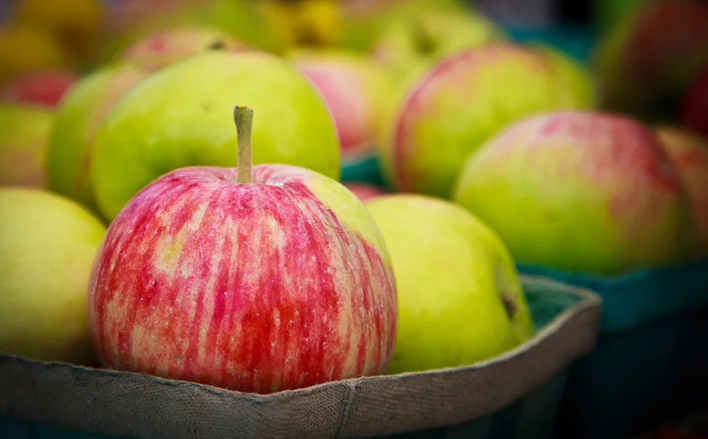 apples1-1.jpg