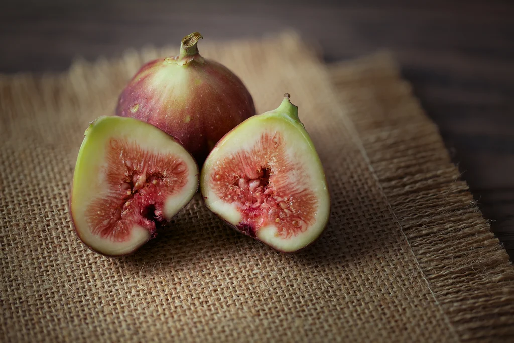 figs4-1.jpg
