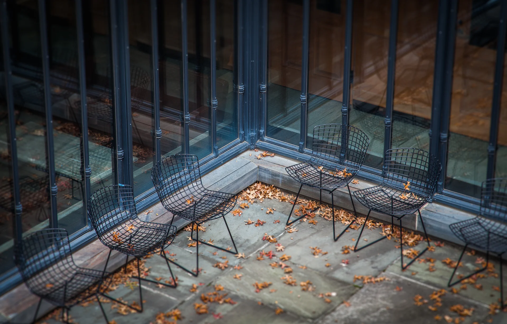 newHaven-1.jpg