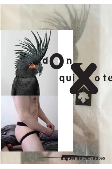 DONQUIXOTE.jpg