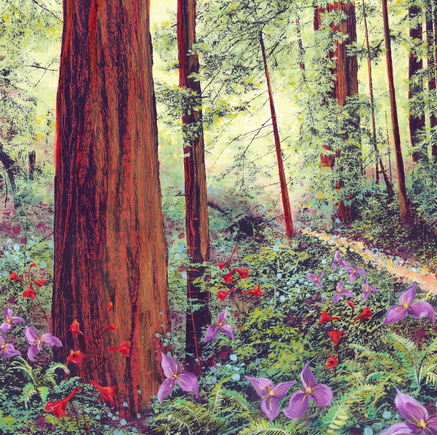 aglow in the path ahead crop new 3.jpg