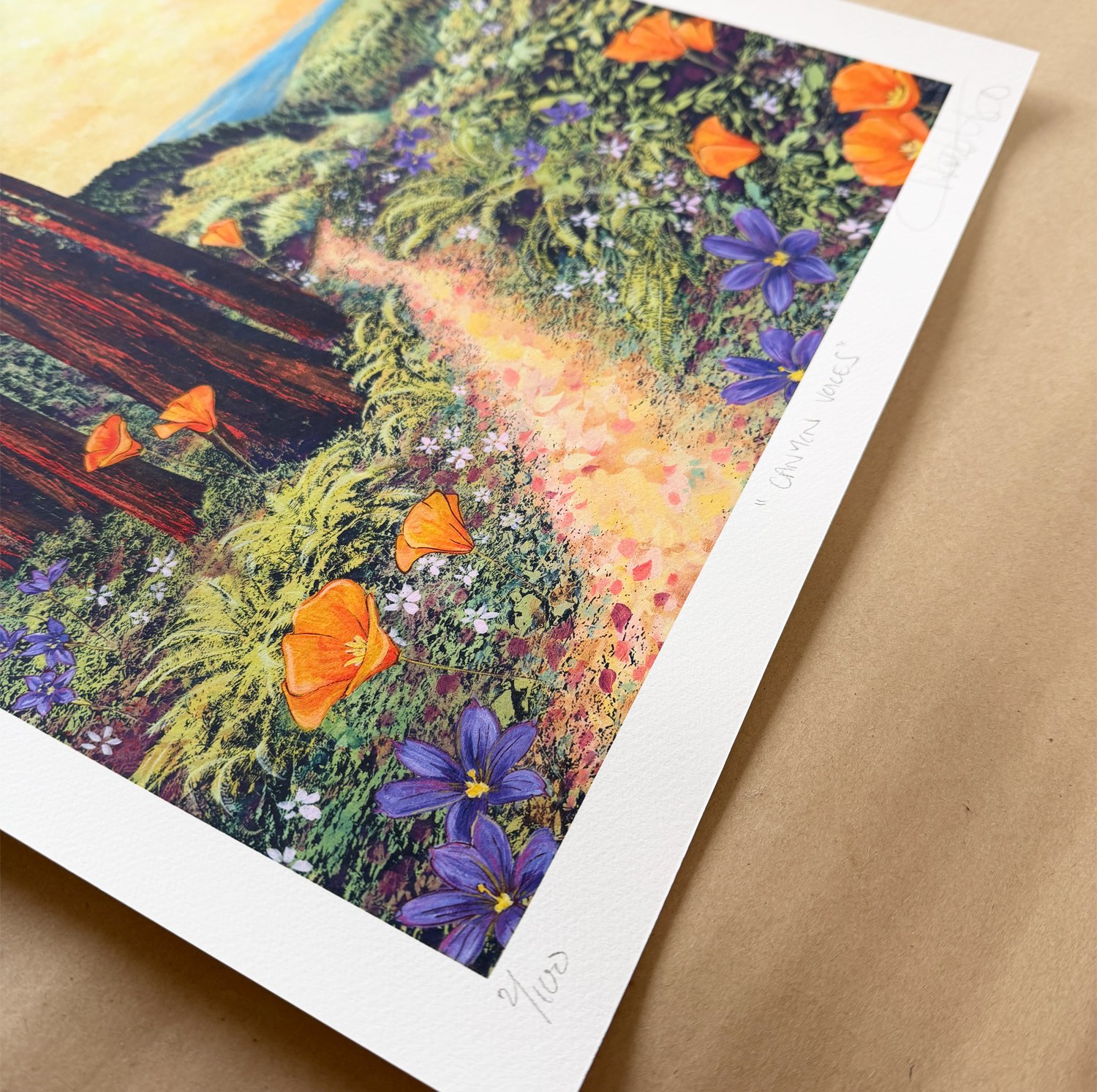 canyon voices crop edition.jpg