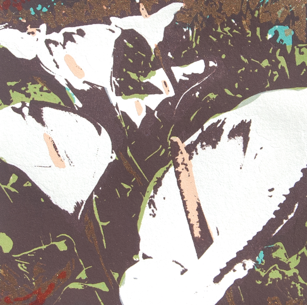 lilies of the farm crop1.jpg