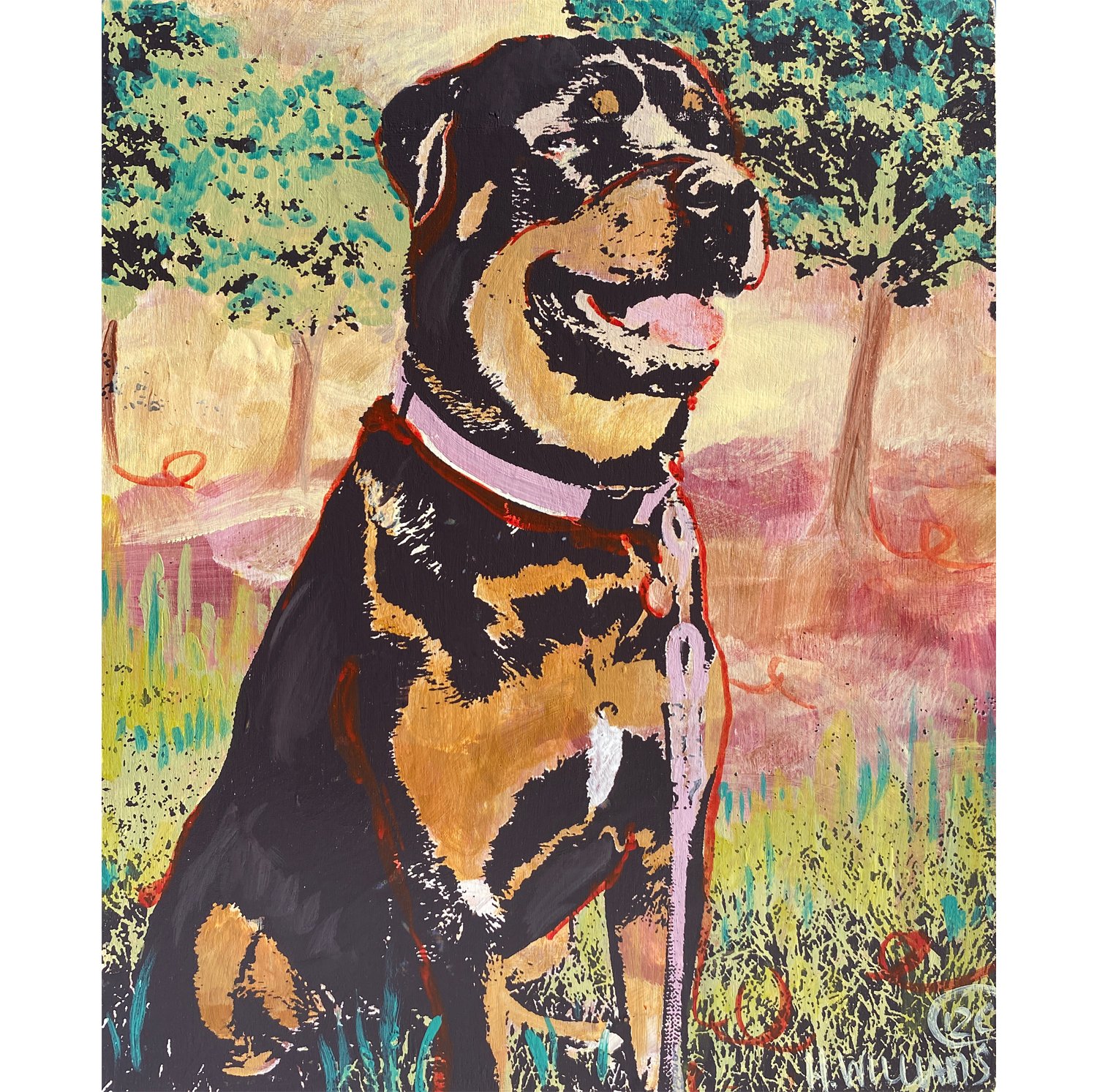co doggy 2020.jpg