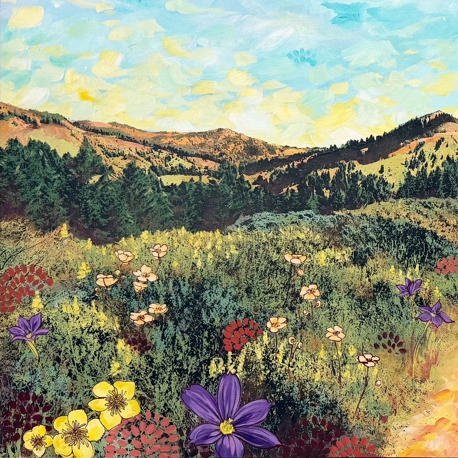 venturing eyes in a new range crop2.jpg