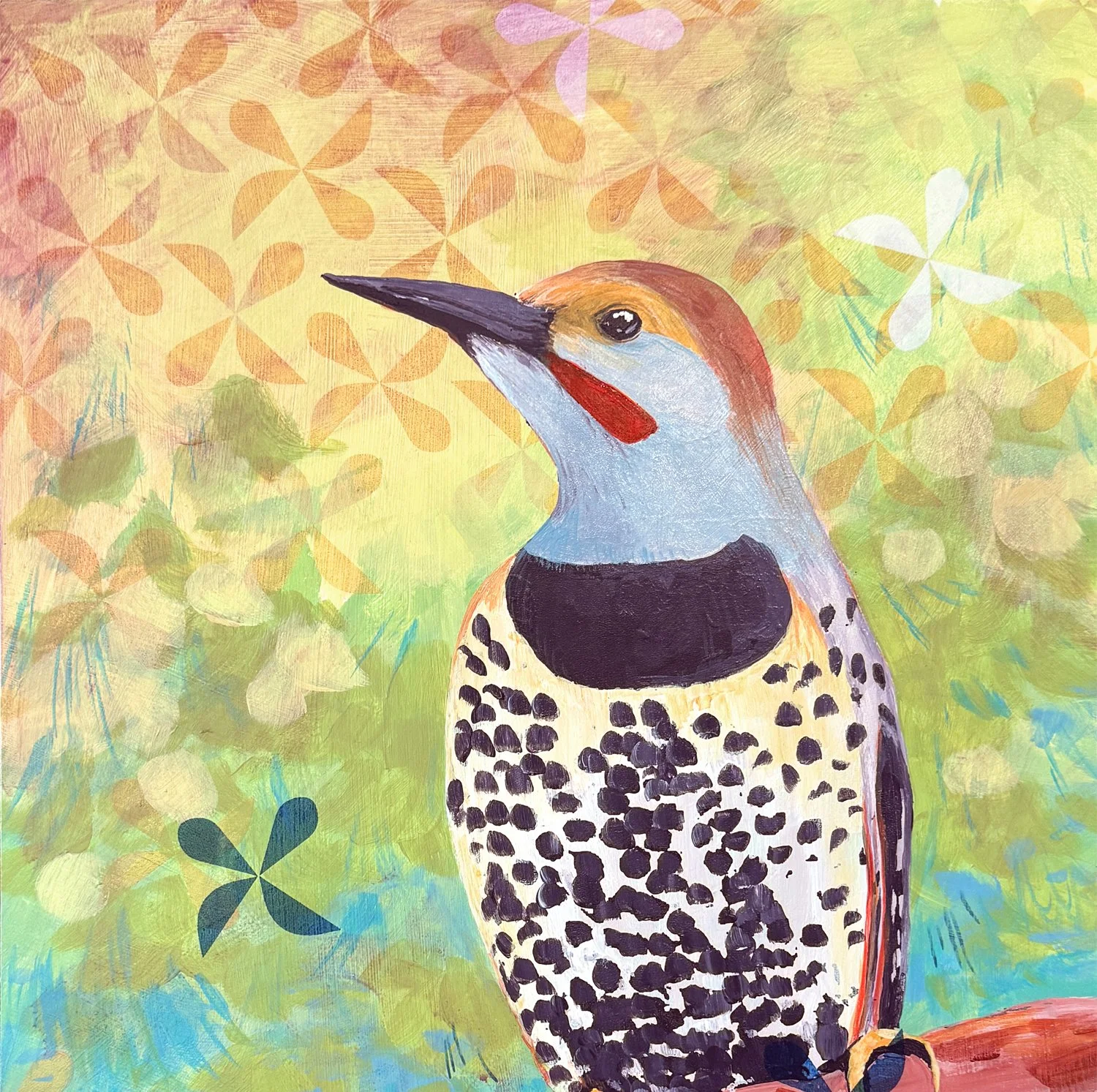 flicker from a tree top new crop2.jpg