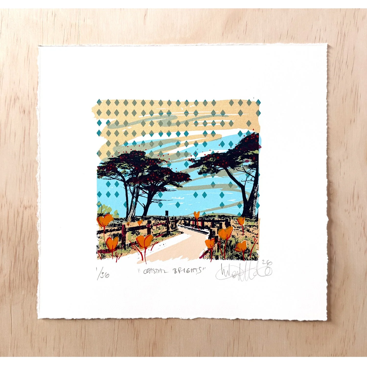 coastal brights crop3.jpg