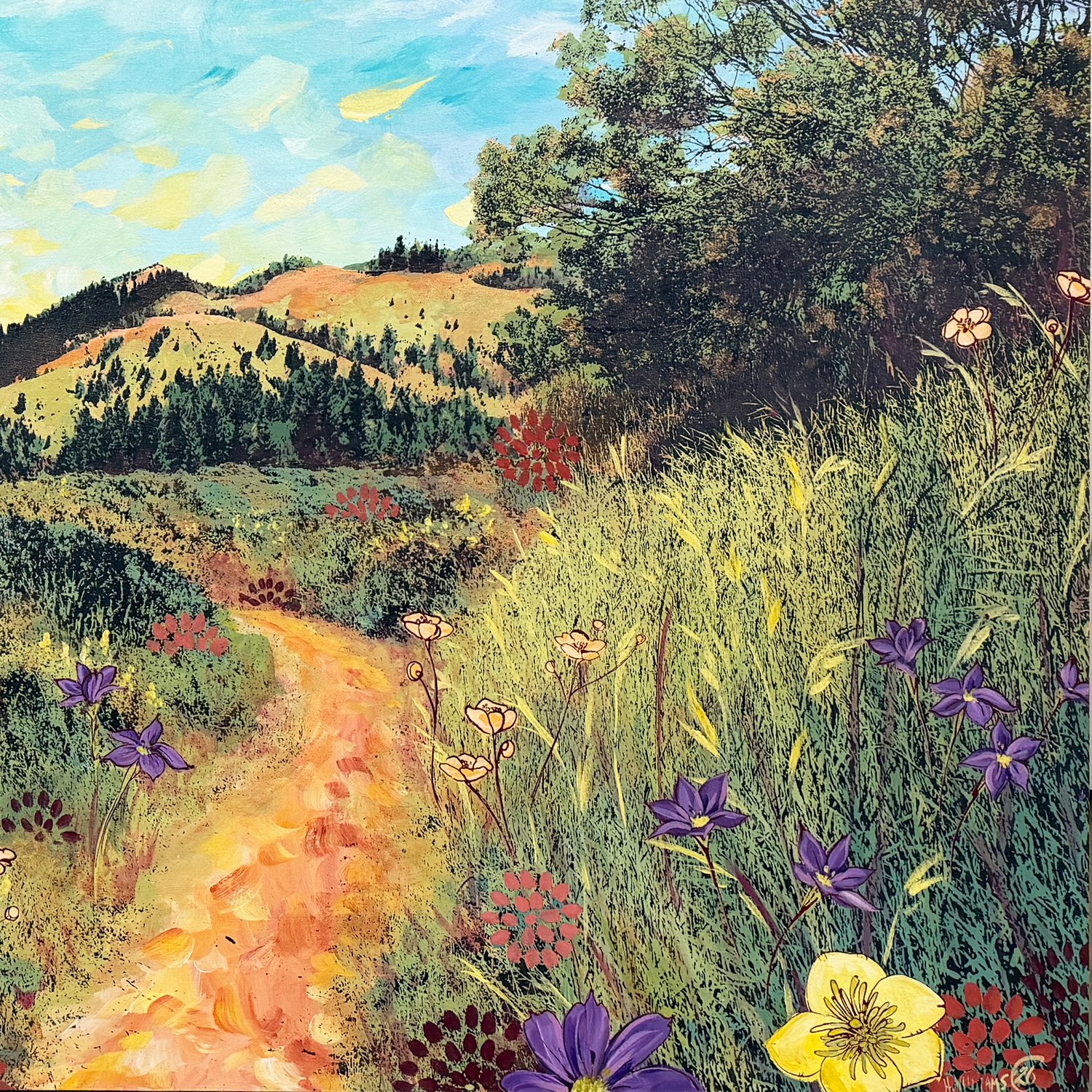 venturing eyes in a new range crop1.jpg