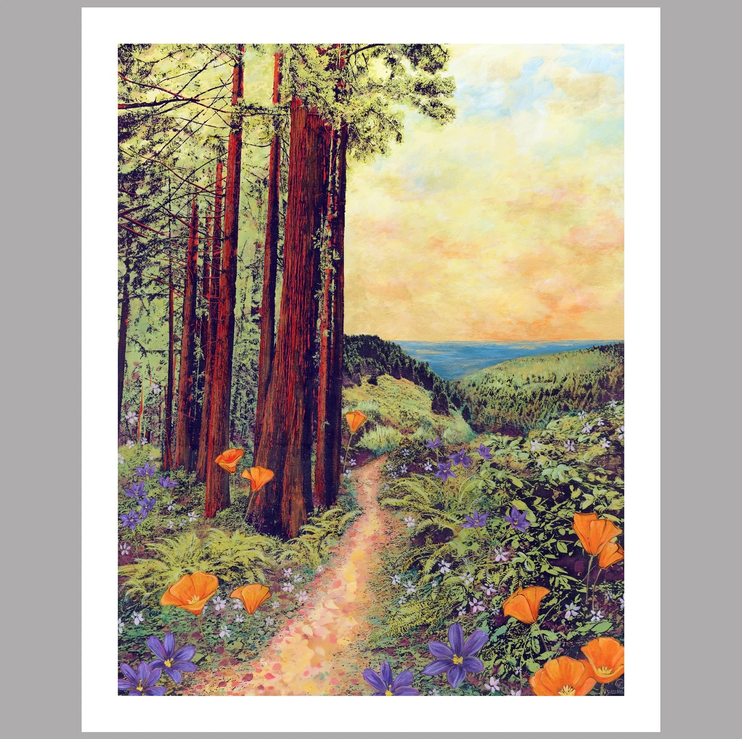 canyon voices crop1 .jpg