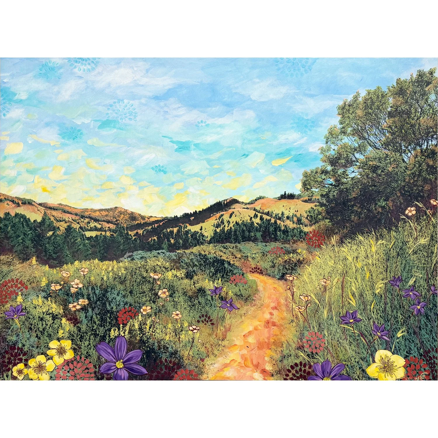 venturing eyes in a new range preview.jpg