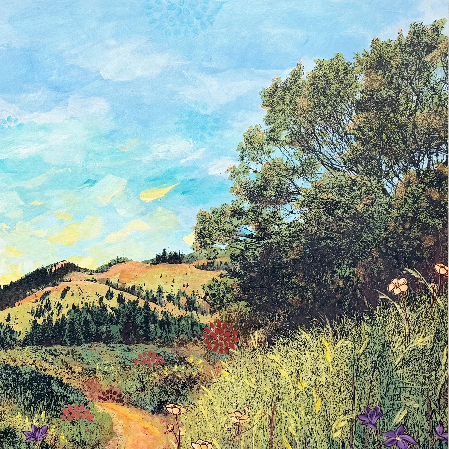 venturing eyes in a new range crop4.jpg