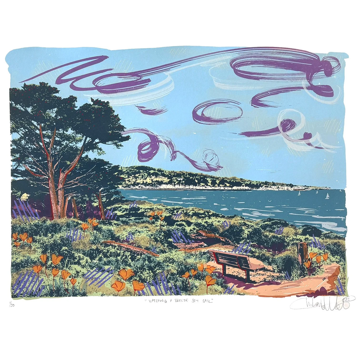 watching a breeze set sail 1preview.jpg