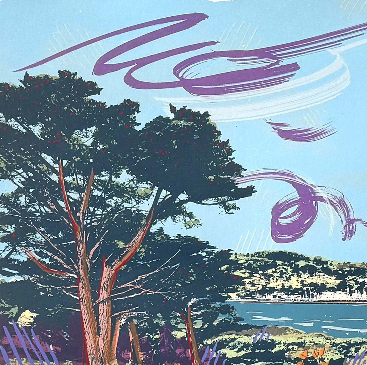 watching a breeze set sail crop6.jpg