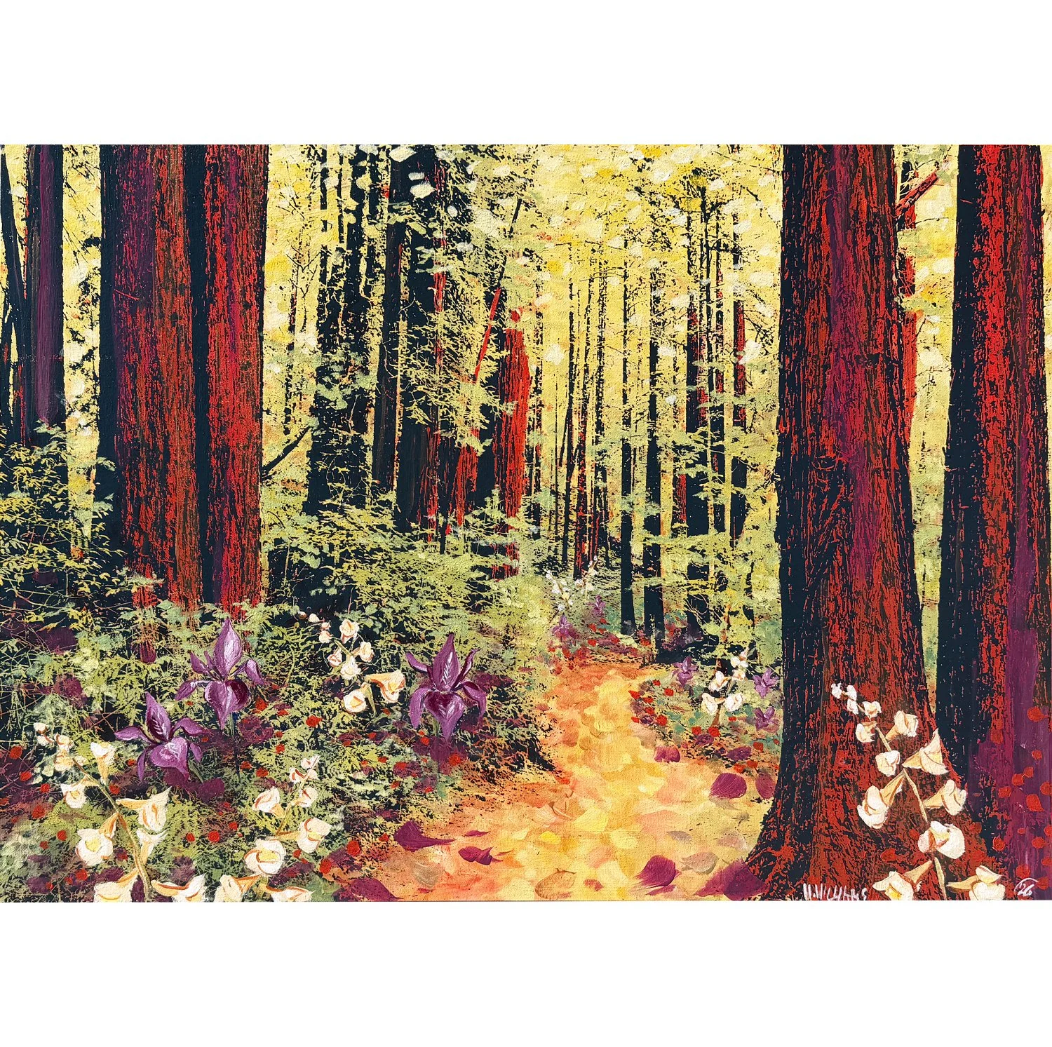 the brilliance of calm preview.jpg