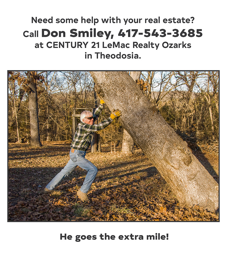 Blog — Sierra Ozark Corporation