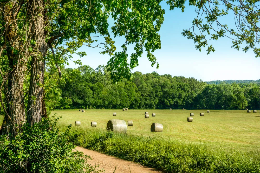 Working cattle ranch for sale in Thornfield, Ozark County, Missouri