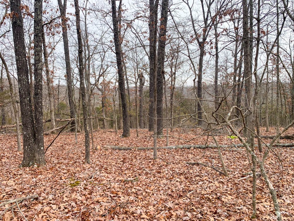 35 ACRES IN THE BACKWOODS WITH POWER AND WATER  $122,500