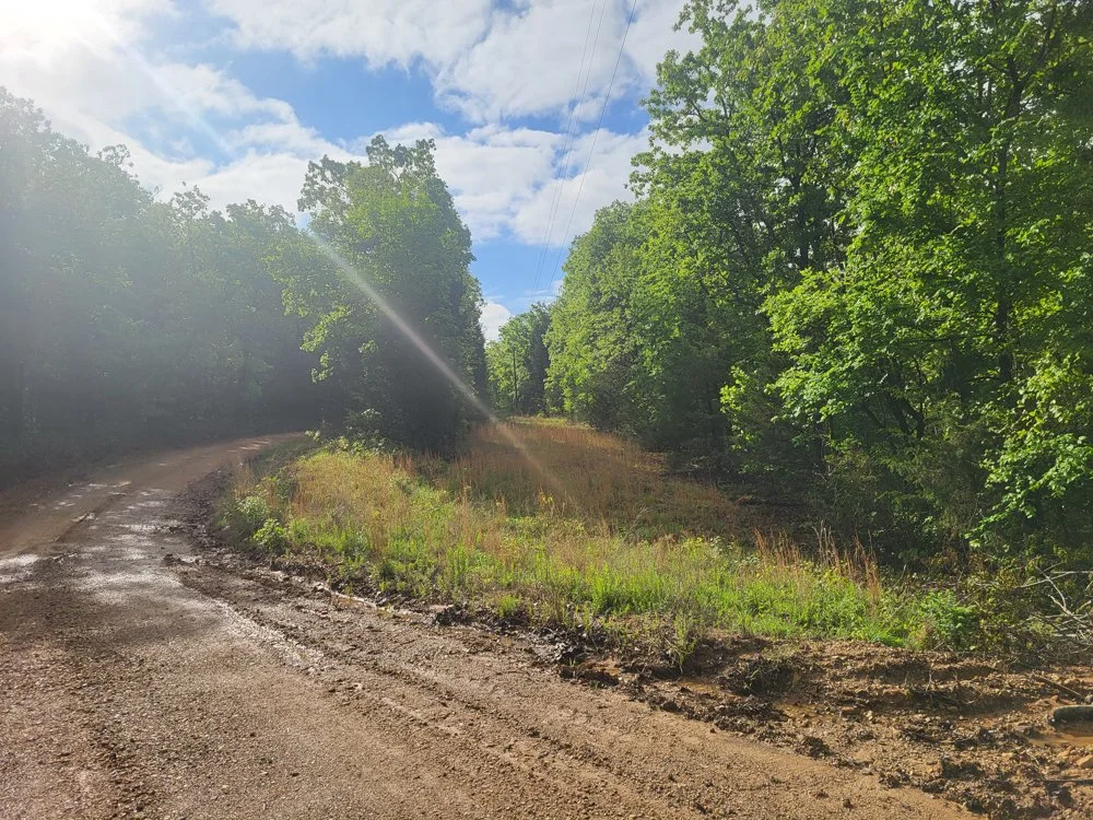 CLOSE TO TOWN, BUT IN THE COUNTRY  $93,500