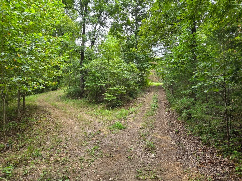  10 ACRES CLOSE TO NOR FORK RIVER $75,000