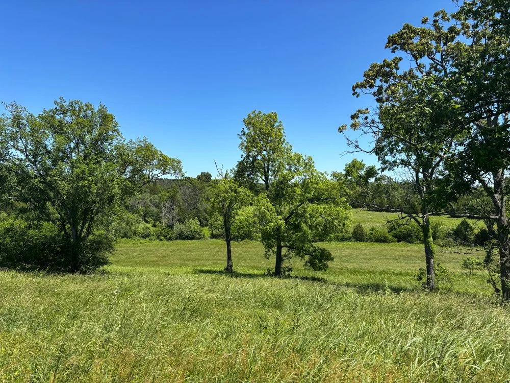 31 ACRE MULTI-PURPOSE PROPERTY  $162,500