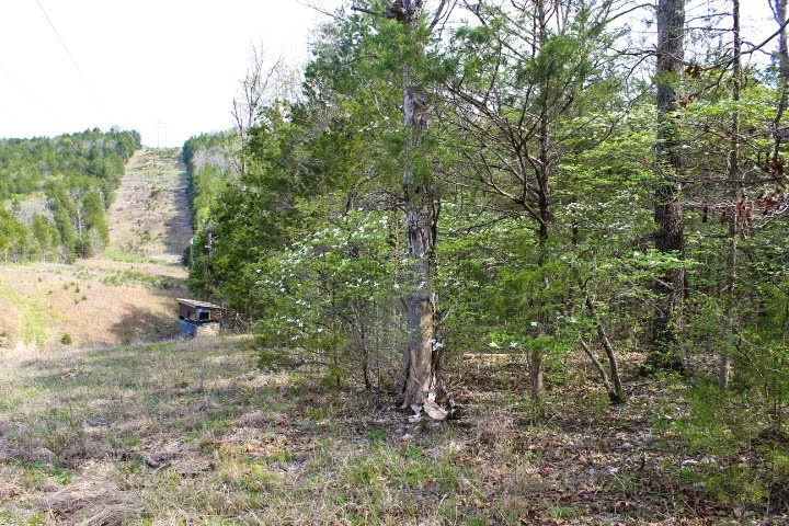   SECLUDED ACRES WITH ELECTRICITY $74,900