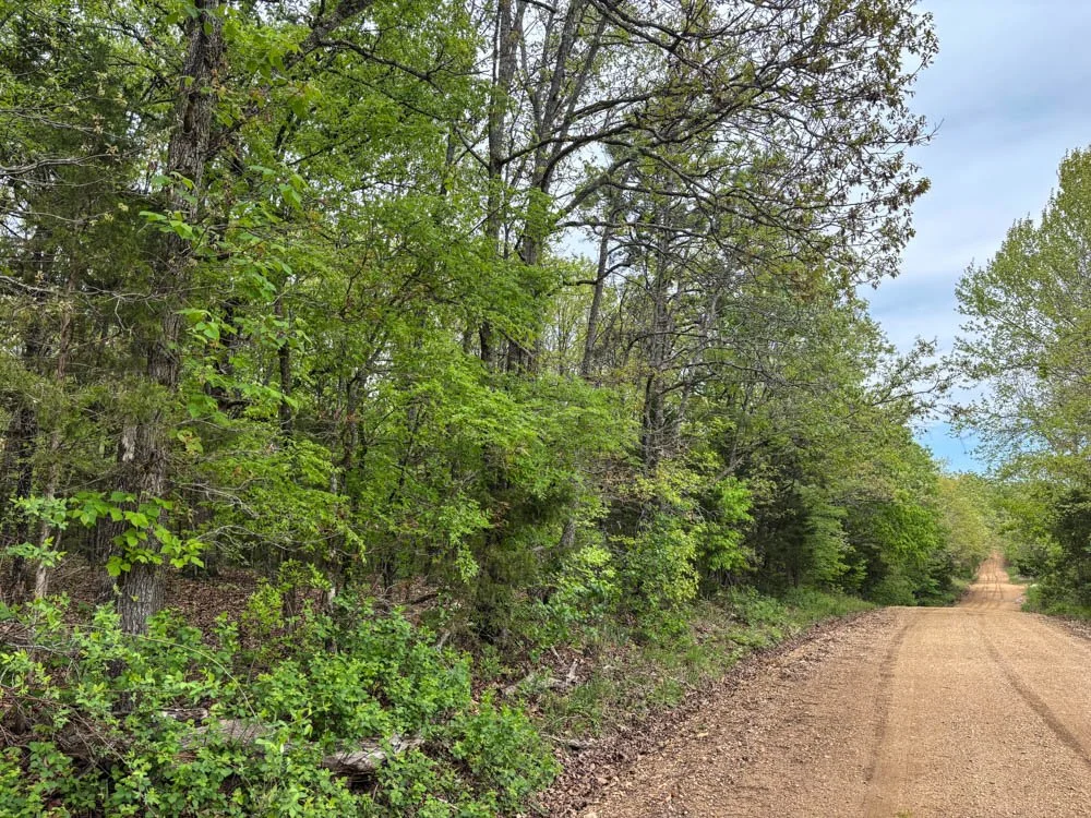 180 ACRES OF TIMBER    $530,000