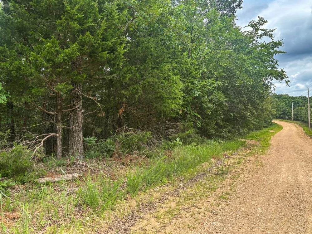 24 ACRES, NOT FAR FROM BULL SHOALS LAKE  $89,900