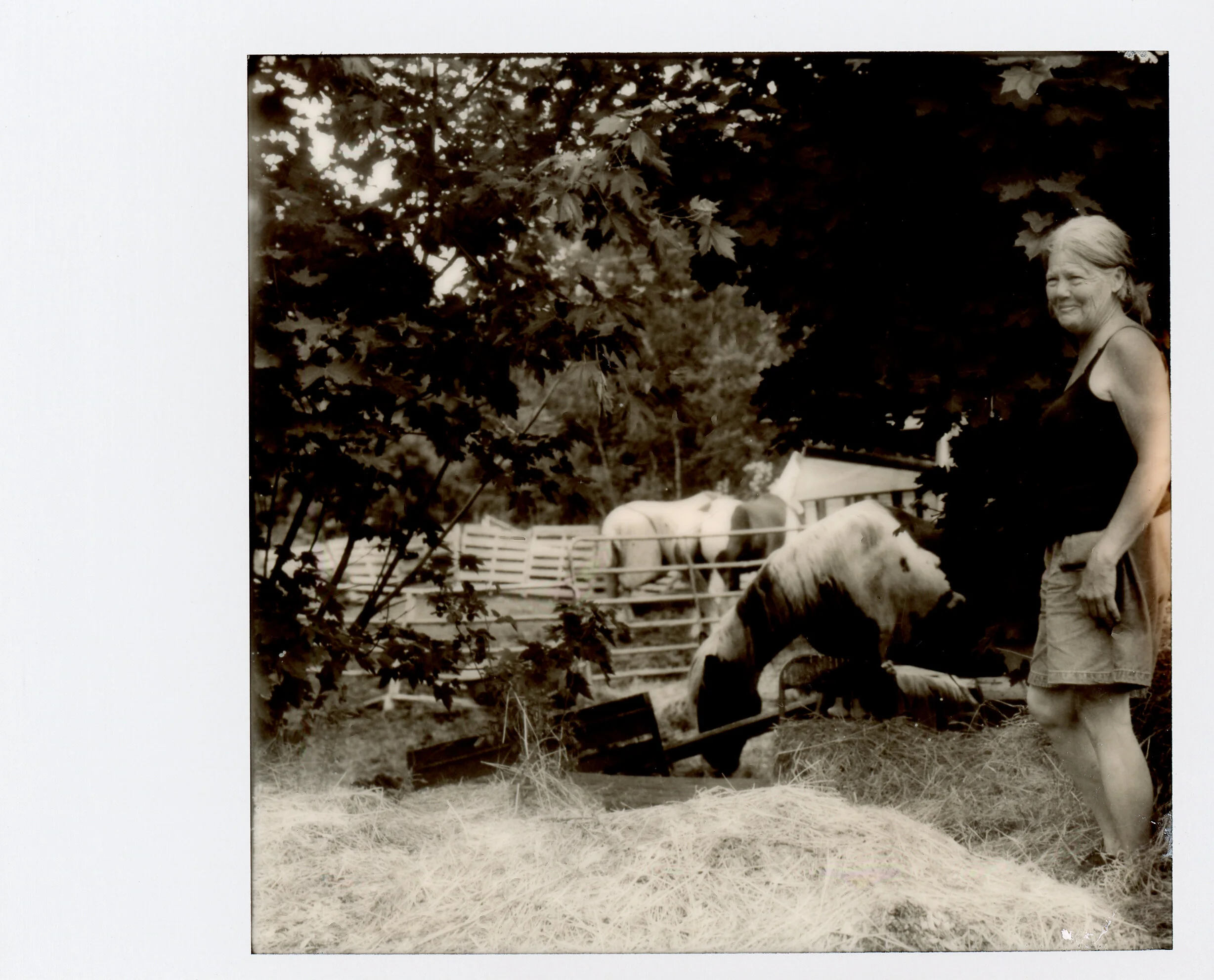 Polaroid0004.jpg