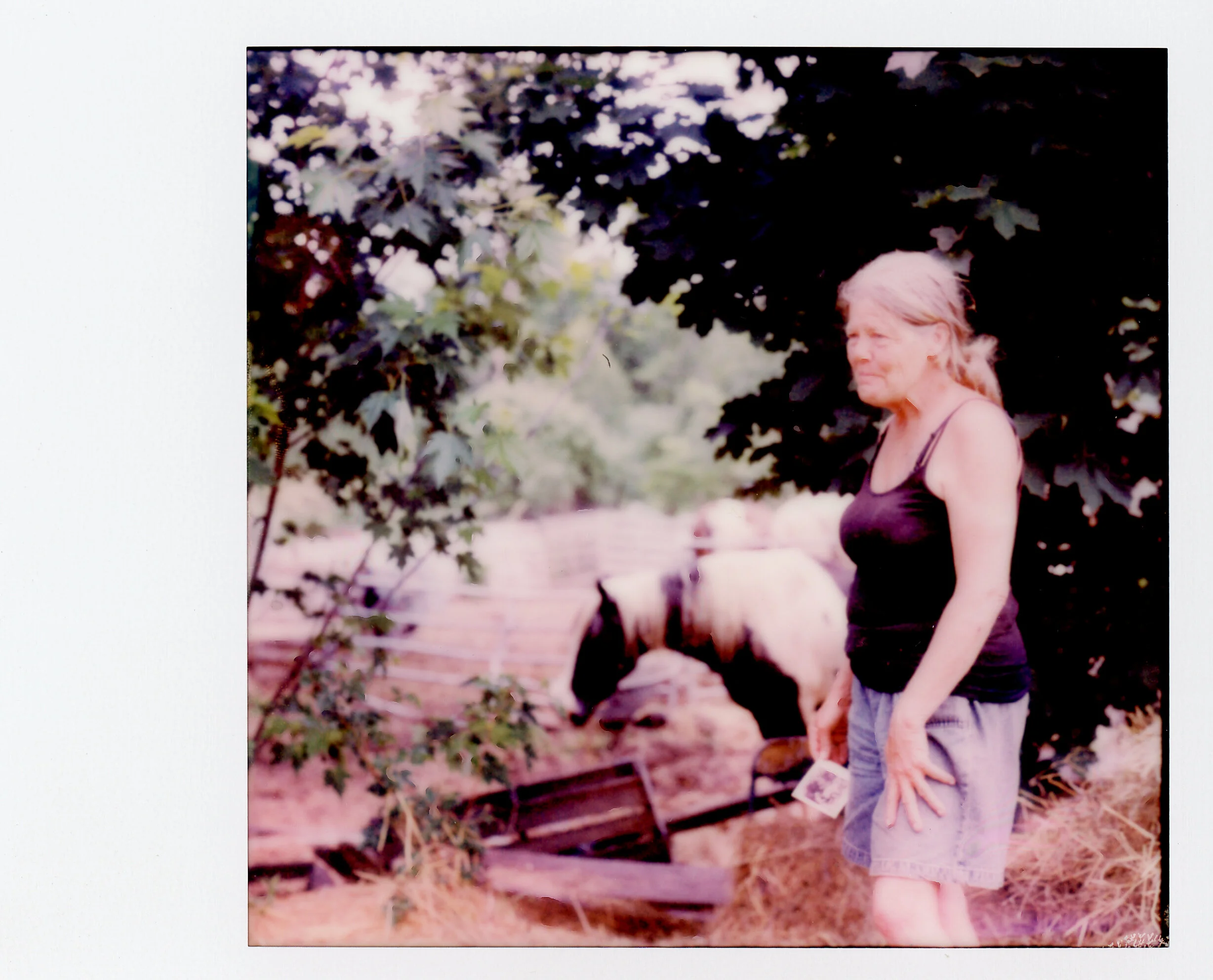 Polaroid0005.jpg