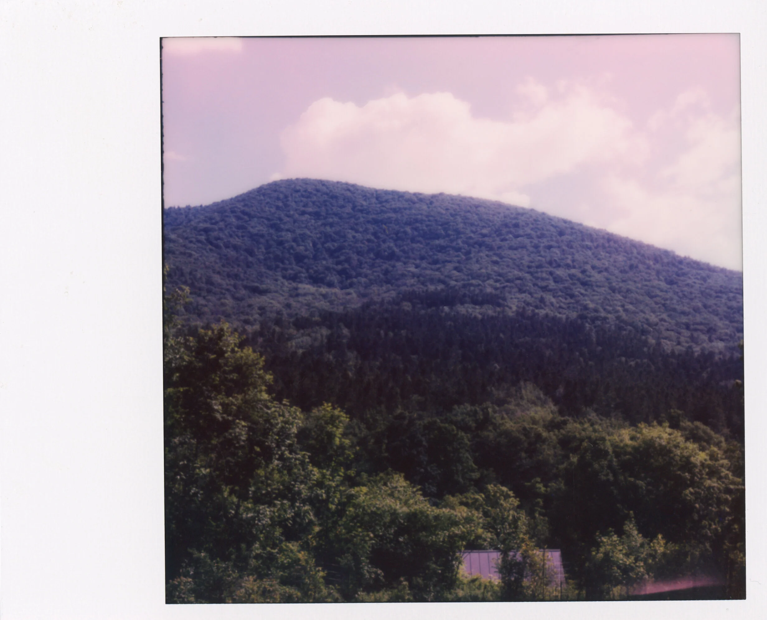 Polaroid0009.jpg