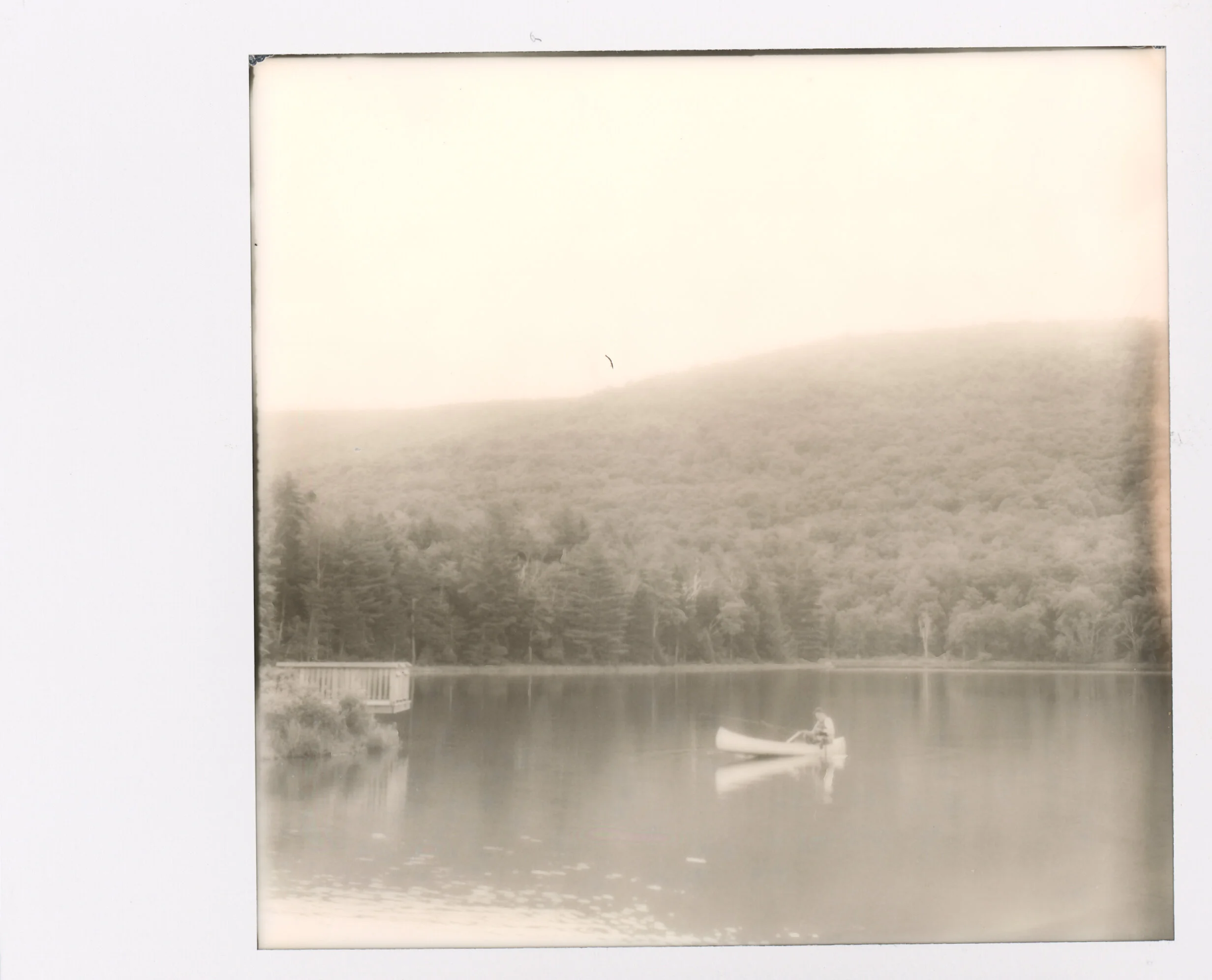 Polaroid0011.jpg