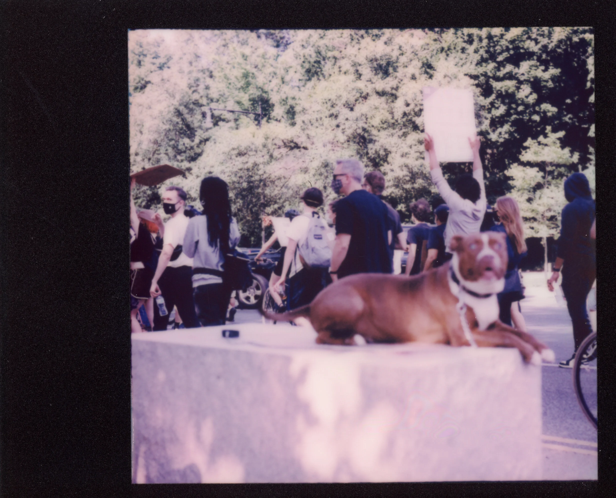 Polaroid0021.jpg