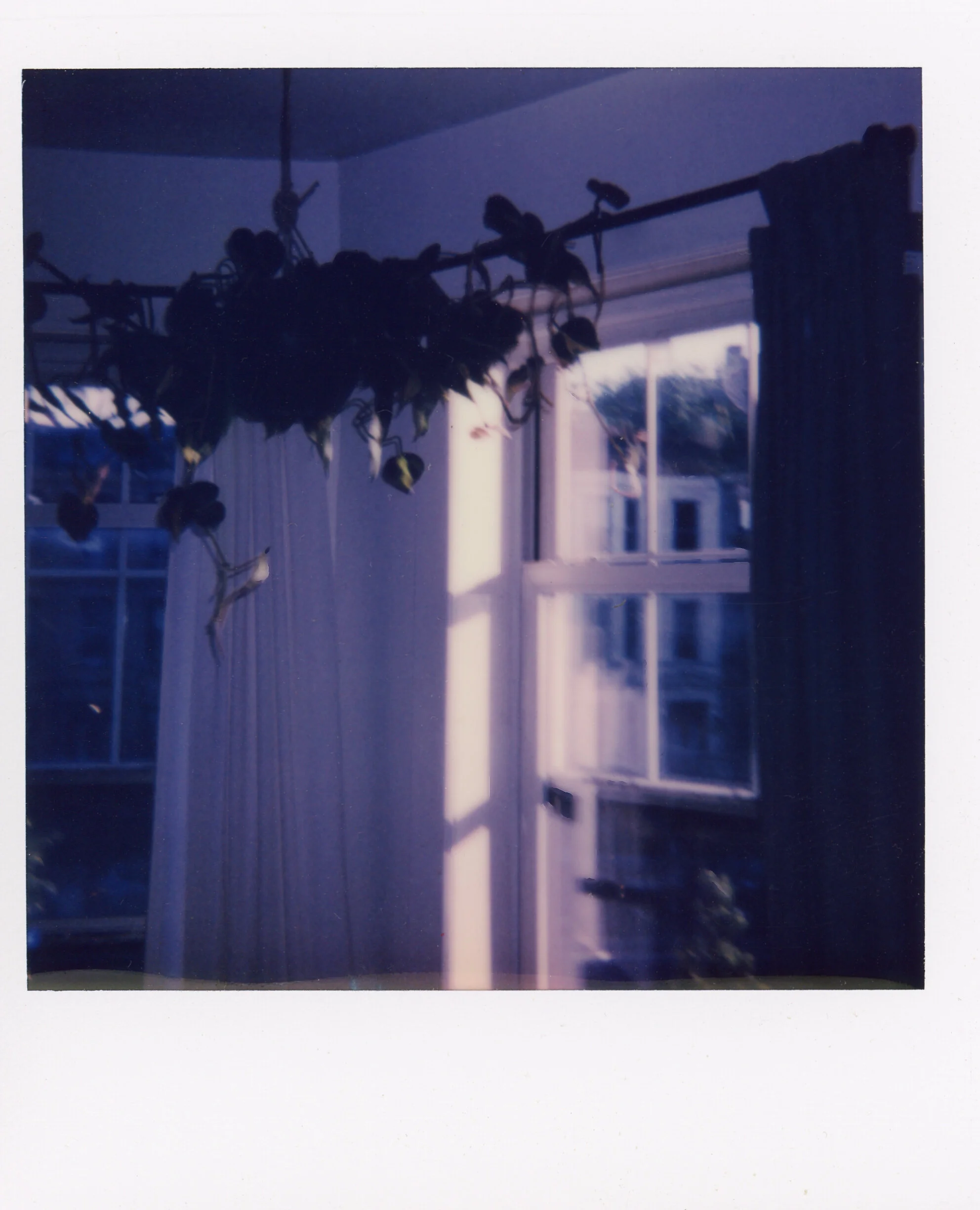 Polaroid0065.jpg