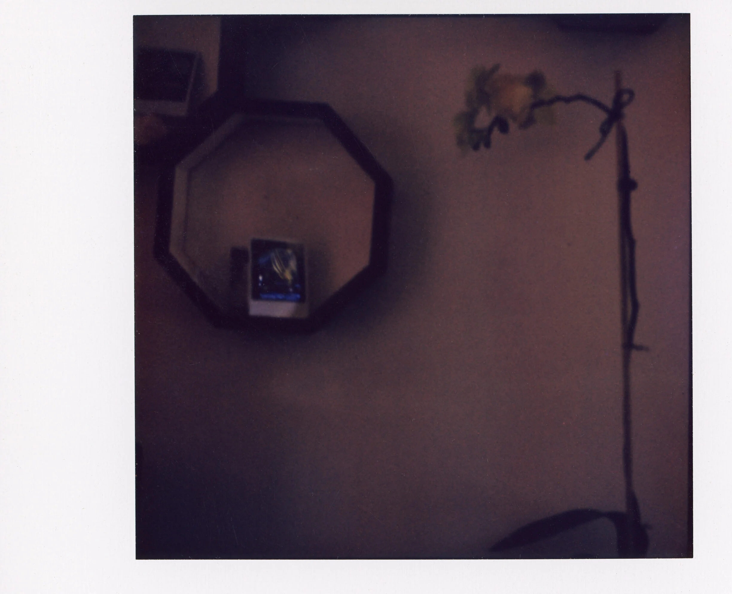 Polaroid0067.jpg