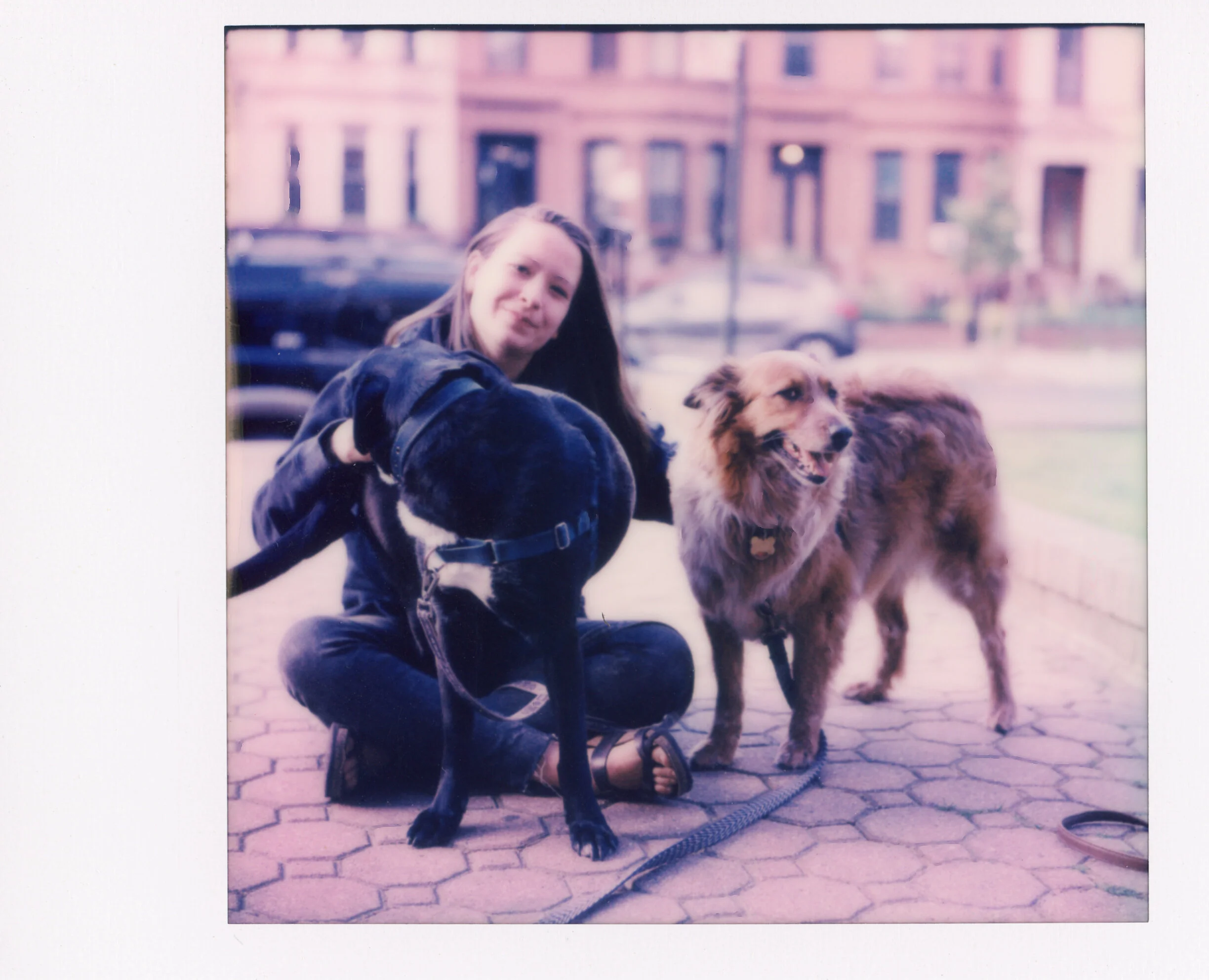 Polaroid0070.jpg