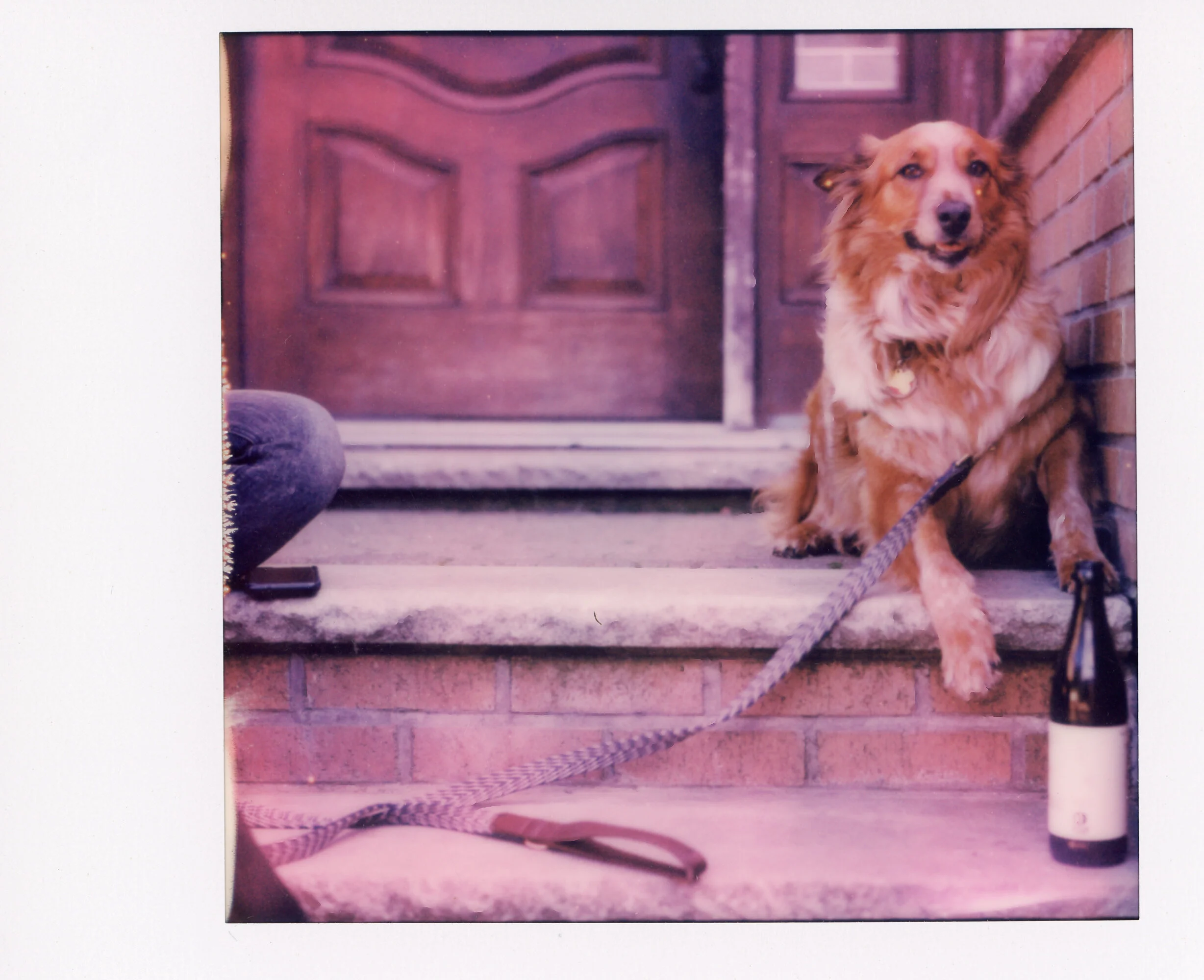 Polaroid0071.jpg