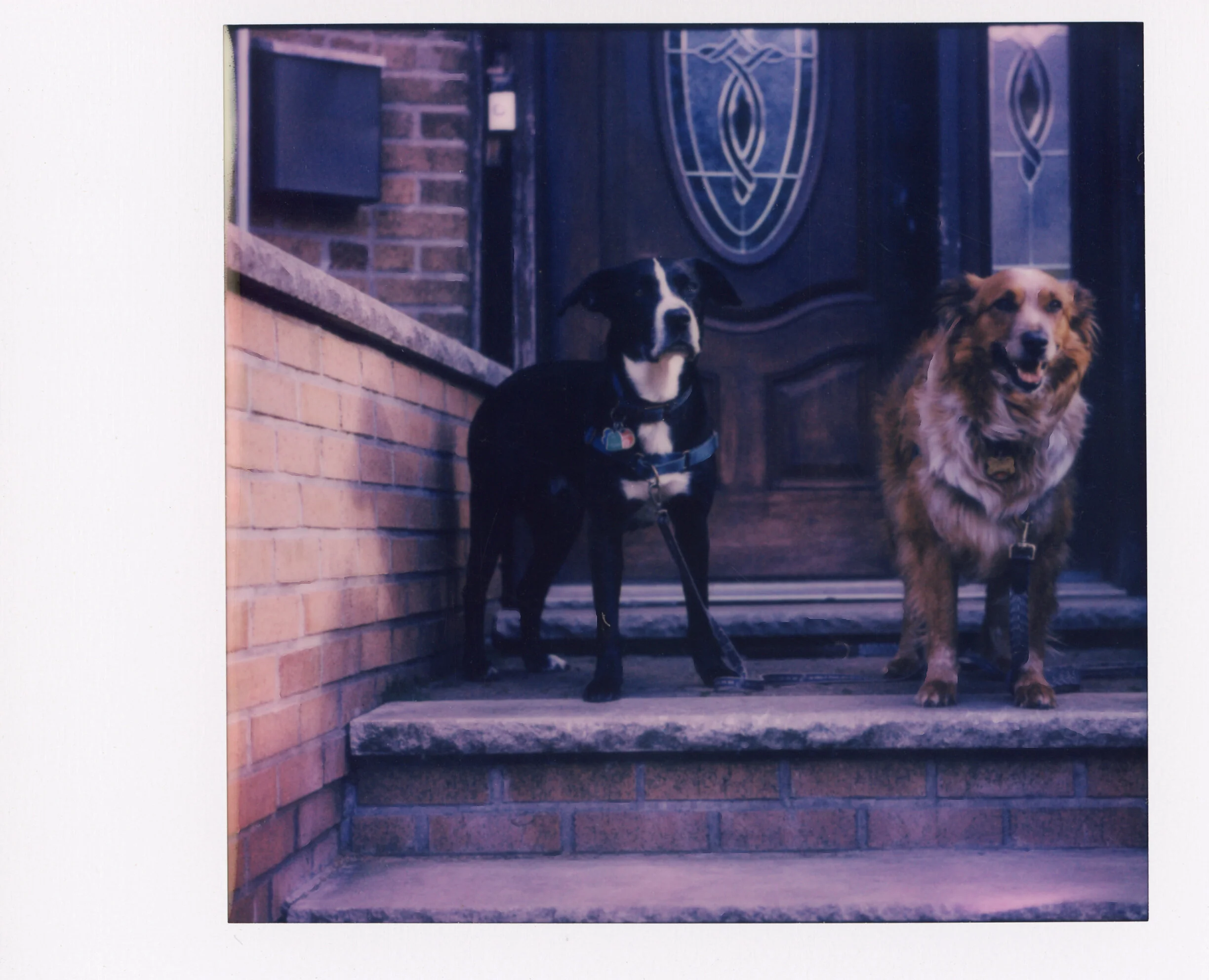 Polaroid0072.jpg