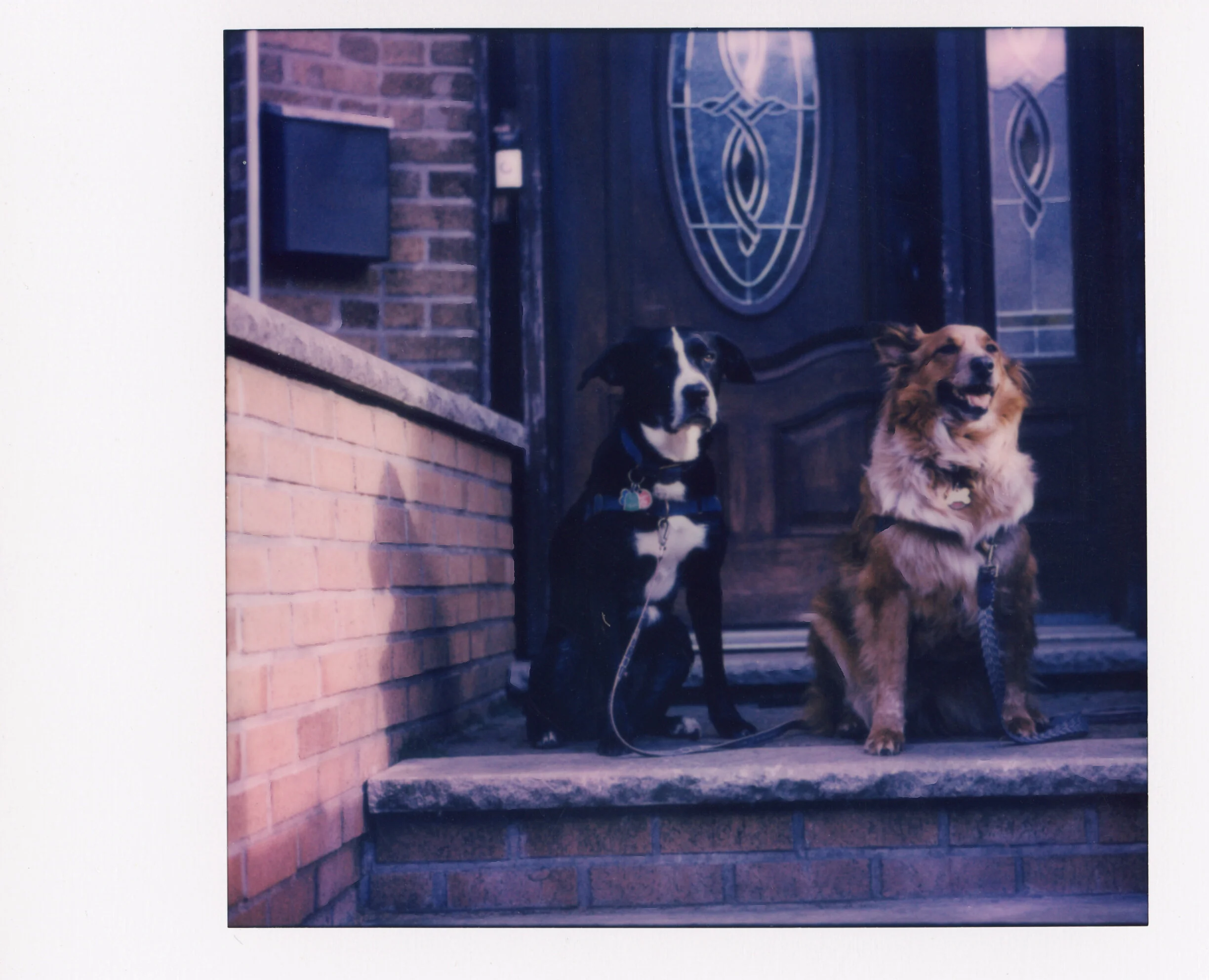 Polaroid0073.jpg