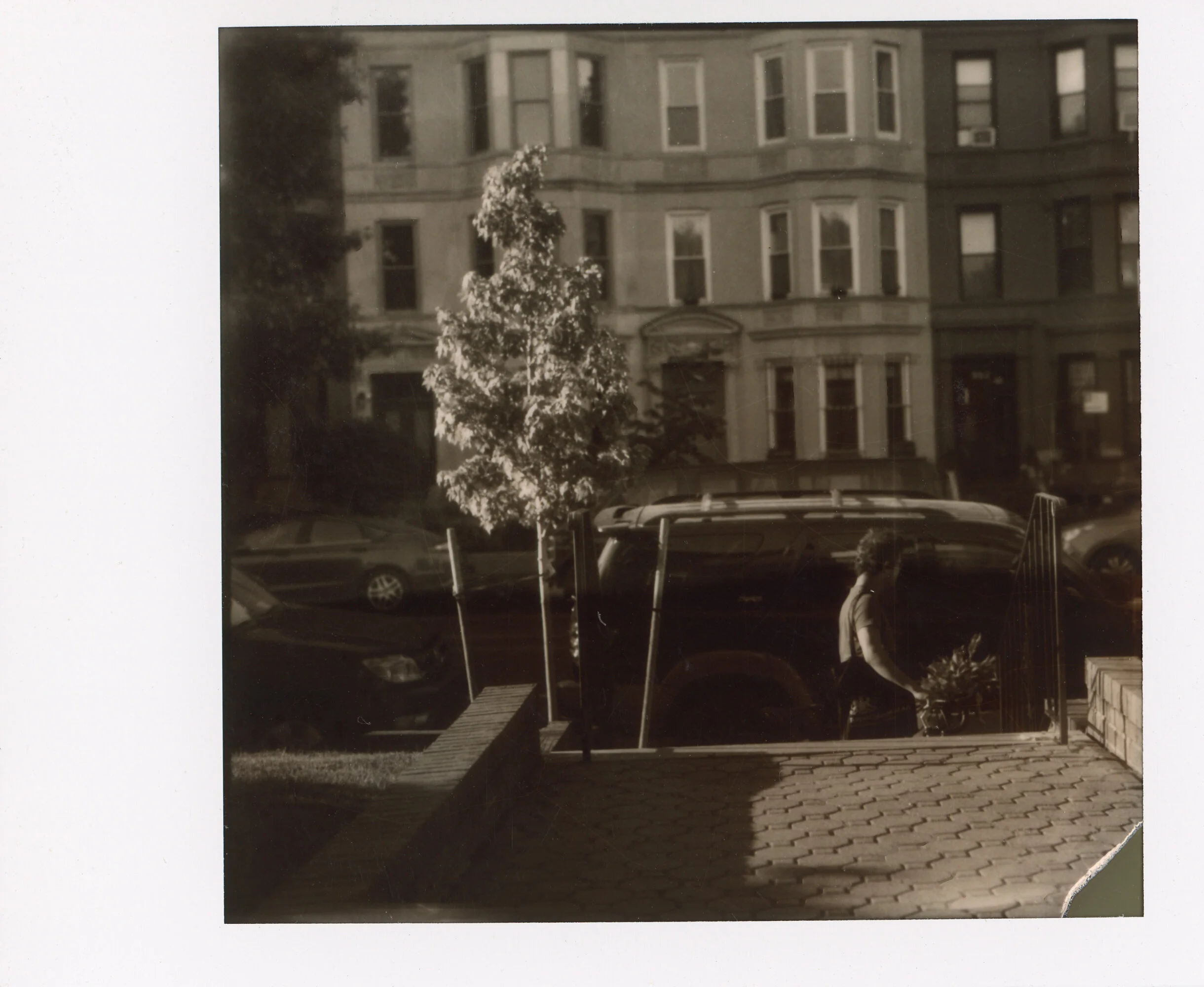 Polaroid0078.jpg