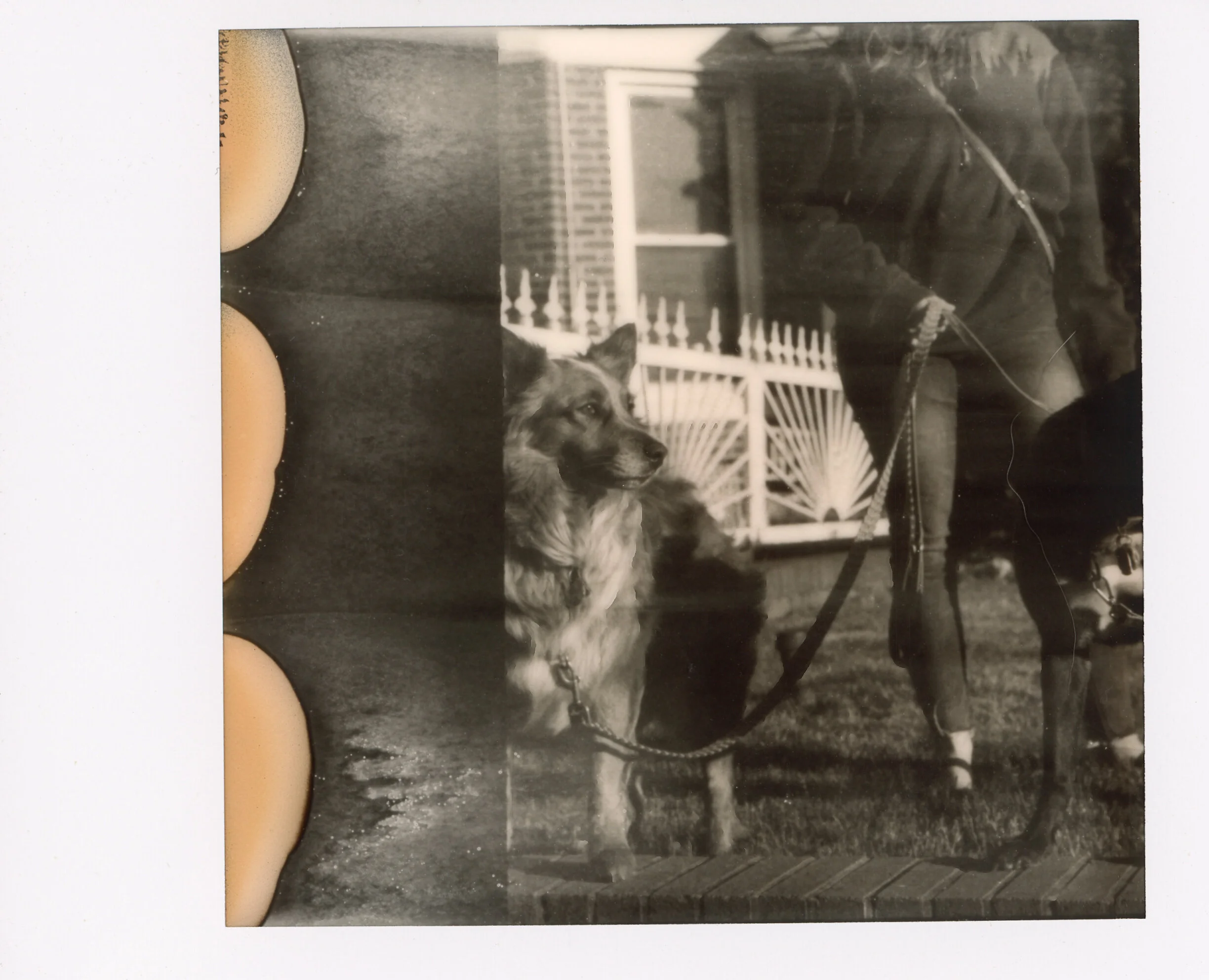 Polaroid0080.jpg