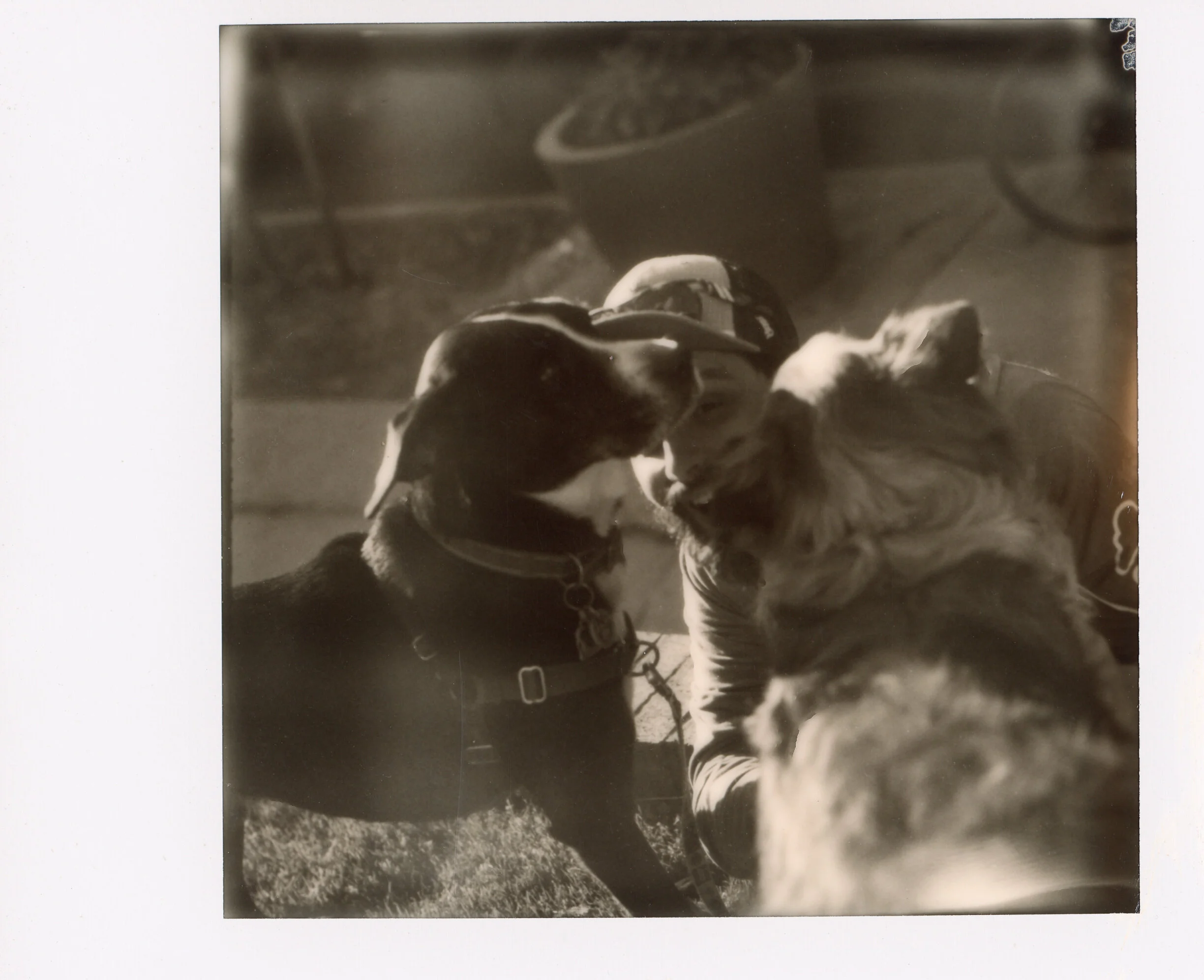 Polaroid0082.jpg