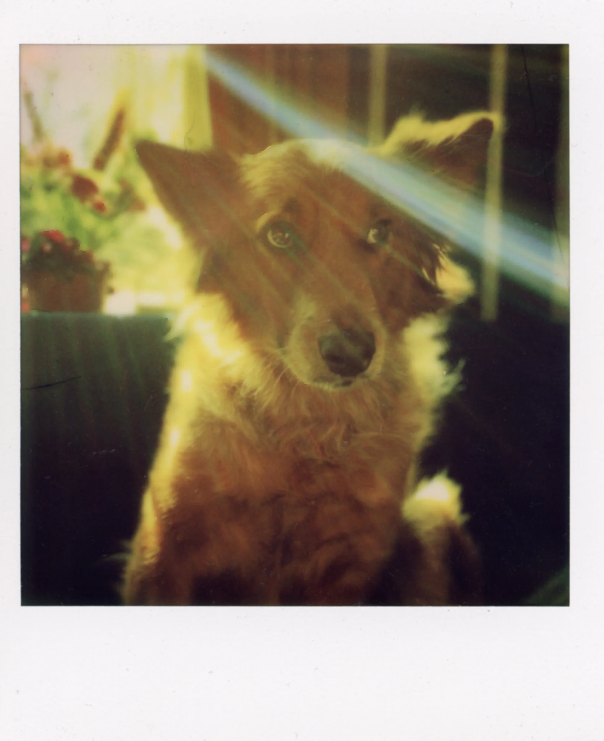 Polaroid0100.jpg