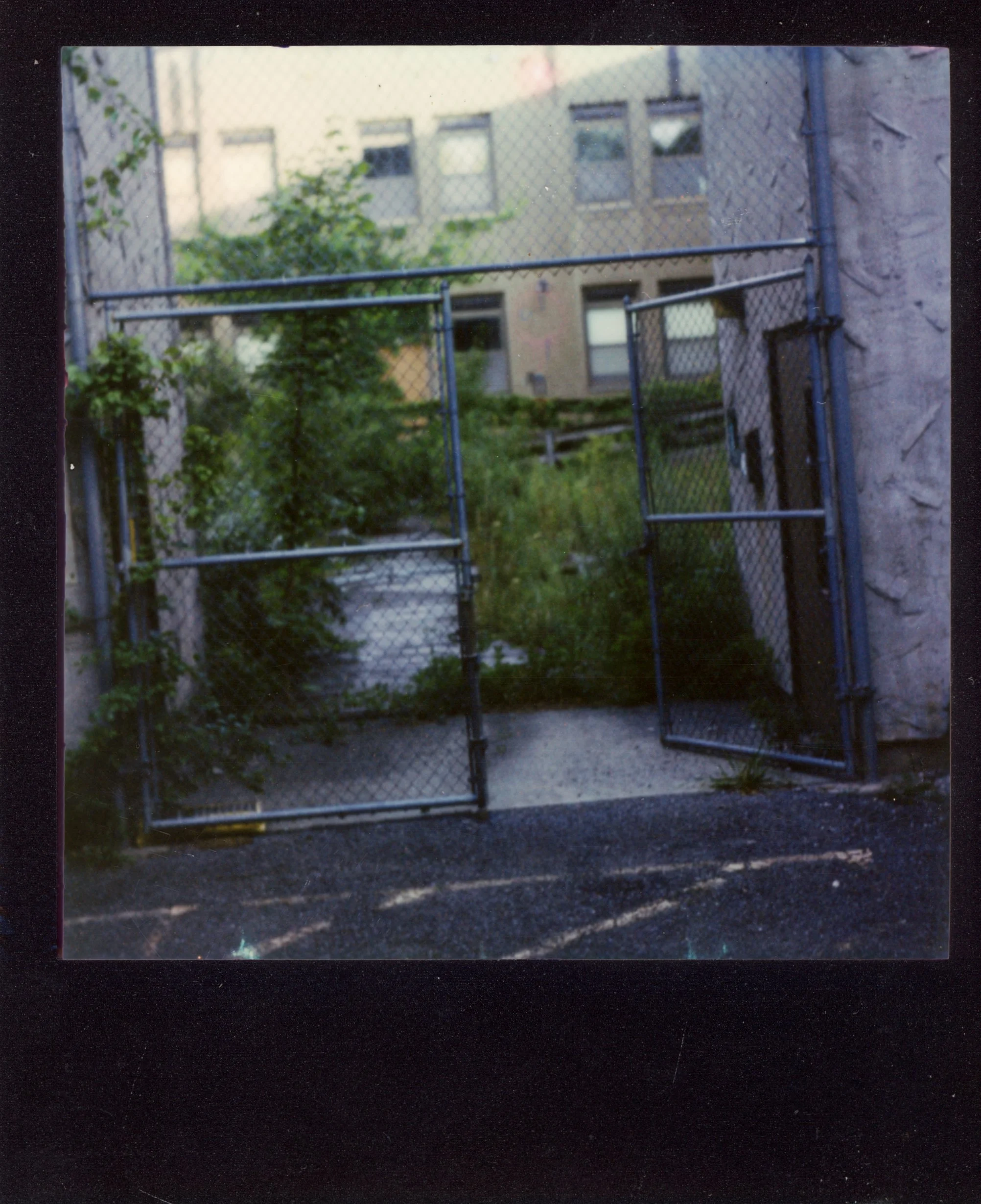 Polaroid0074.jpg